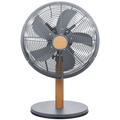 Boden Stark 30cm Desk Fan