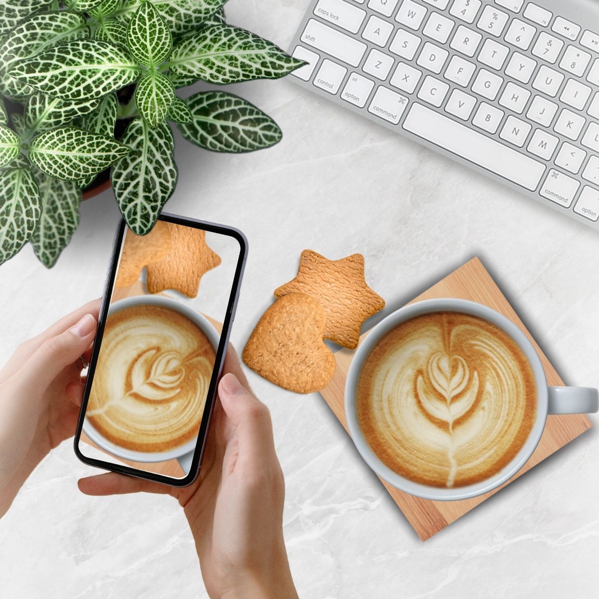 Bamboo Coaster Set