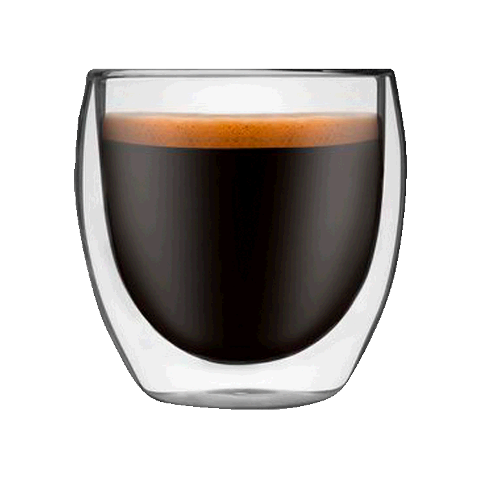 Elegant Double Wall Glass Mug in Gift Box